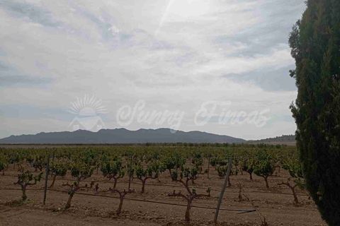 Finca i Yecla, Murcia, Yecla - € 350.000 | Ref: SF0507 - foto 21